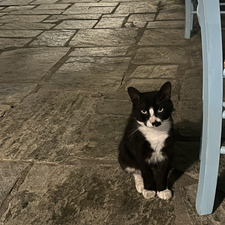 Matteo Negro