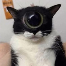 &#x1f6f8;spacingout&#x1fa90;