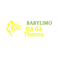 Đá Gà Trực Tiếp  Thomo