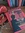 21128739