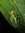 Alyssa (ahartwich_) | 1 comments