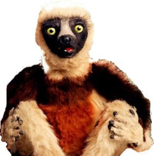 joevicii