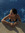 Amelie