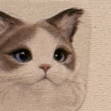 Ada