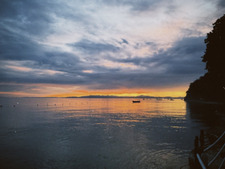 dahliassa;₊˚⊹♡