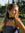 Cami