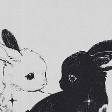 bunny ୨୧