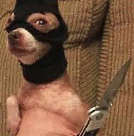 Christopher Beaudoin