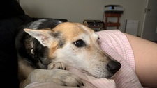 Elinor