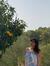 Svea