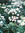 member photo member photo
