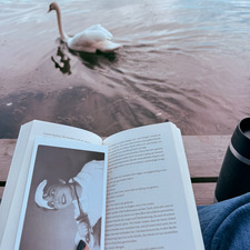 HB&#x1f9a2;