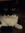 member photo member photo