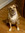 member photo member photo