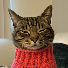 Milo