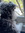 Ryan P. | 12 comments