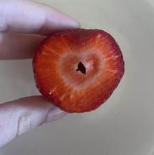 Luci&#x1f43c;&#x1f353;