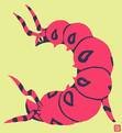 Bugs