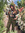 RavenCantRead