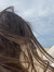 Mihaela...
