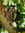 Maromy | 0 comments