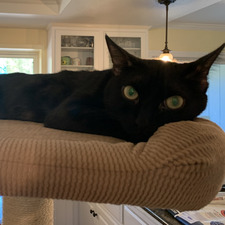 Julie