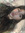 Elena | 3 comments