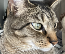 Danuta