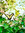 Krista | 3 comments