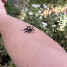 Christopher LaBarbera