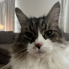 Jessie Jessie Jesssieeeee