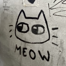 freja ૮ ˙Ⱉ˙ ა