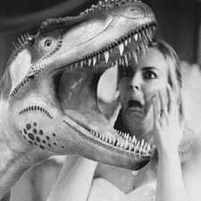 Kayla - Velocireader &#x1f996;&#x1f4da;