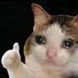 Kat