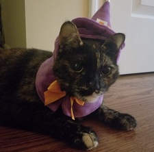 Dani ʕ⁠·⁠ᴥ⁠·⁠ʔ