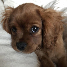 nia ⋆౨ৎ˚⟡˖ ࣪