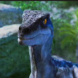 Velociraptor 