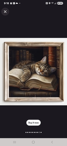 Colleen Seyboth Wertz