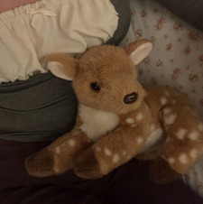 sillea &#x1f98c;