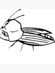 grawp