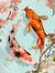 Karp Koi