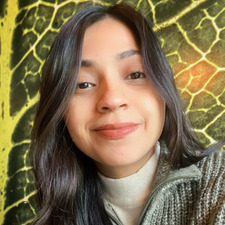 Yazmin