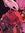 [ h ! L d