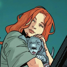 rosie (jason todd's version)