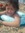 Sayel