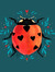 ladybug