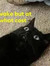 Libbie
