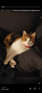 Jacob Prince-Clément