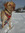 Rocky | 1 comments