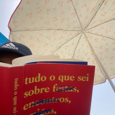 Madalena Mendonça